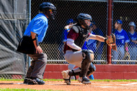 ConcordBaseball_BV_20250422-010