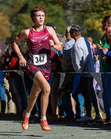 ConcordXC_20251017-008