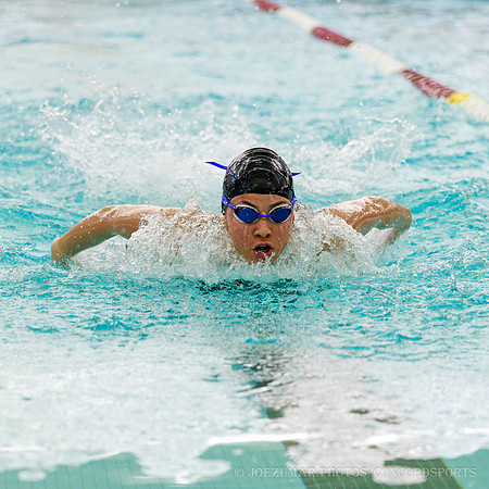 ConcornSwimming_20260108-051