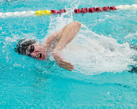 ConcornSwimming_20260108-060