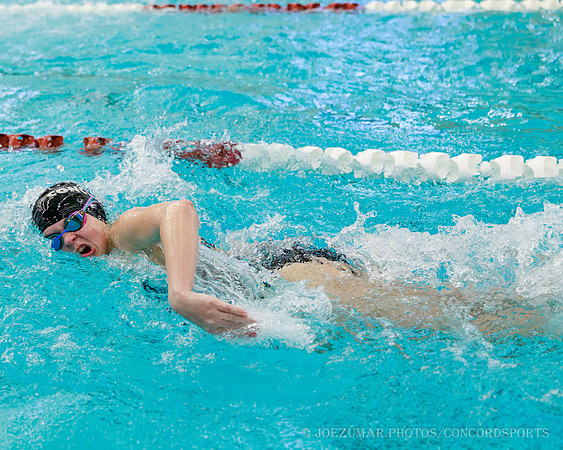 ConcornSwimming_20260121-024