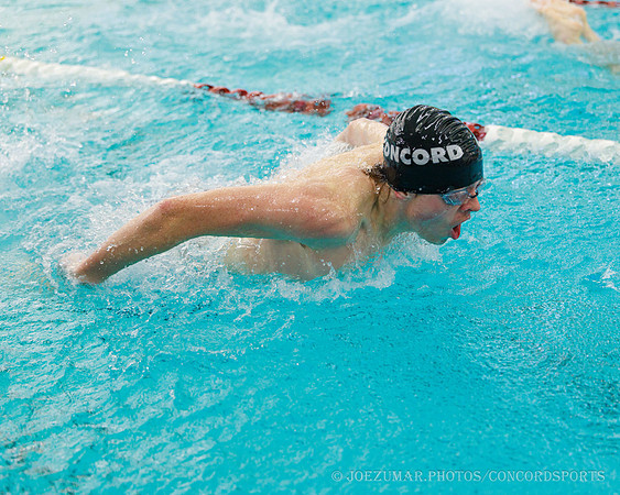 ConcornSwimming_20260121-028