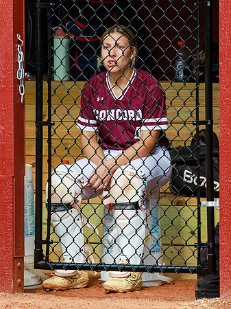 ConcordSoftball_20260430-110