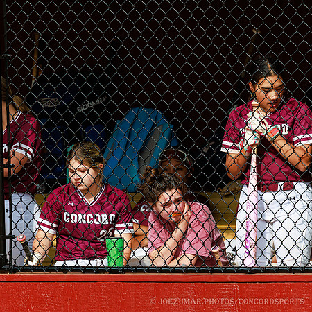 ConcordSoftball_20260430-178