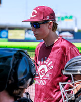 ConcordBaseball_BV_20260507-006