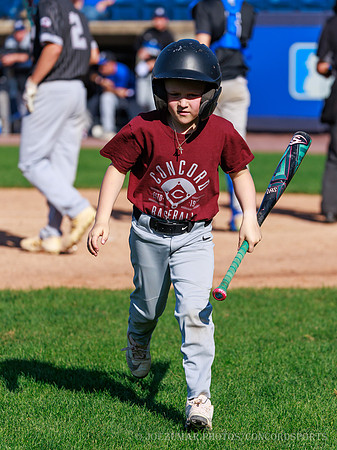 ConcordBaseball_BV_20260507-218