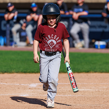 ConcordBaseball_BV_20260507-231