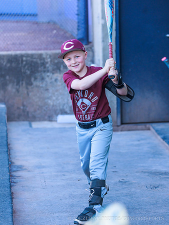 ConcordBaseball_BV_20260507-287