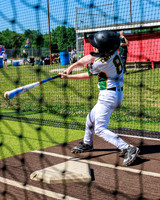 LittleLeague_NewCastleU8-20260620-007