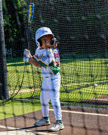 LittleLeague_NewCastleU8-20260620-001