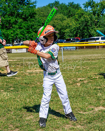 LittleLeague_NewCastleU8-20260620-003