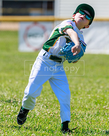 LittleLeague_NewCastleU8-20260620-011