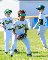 LittleLeague_NewCastleU8-20260620-013