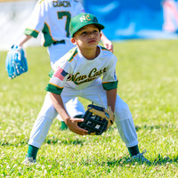 LittleLeague_NewCastleU8-20260620-015