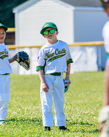 LittleLeague_NewCastleU8-20260620-014