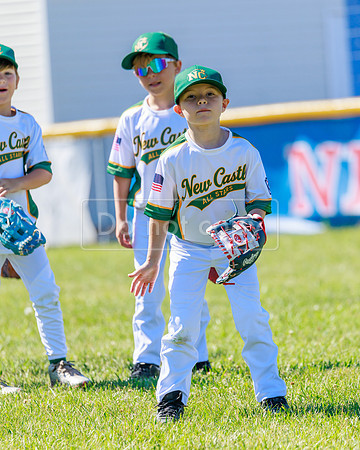 LittleLeague_NewCastleU8-20260620-021