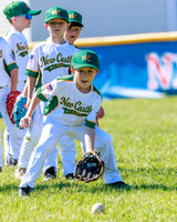 LittleLeague_NewCastleU8-20260620-020