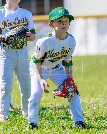 LittleLeague_NewCastleU8-20260620-017