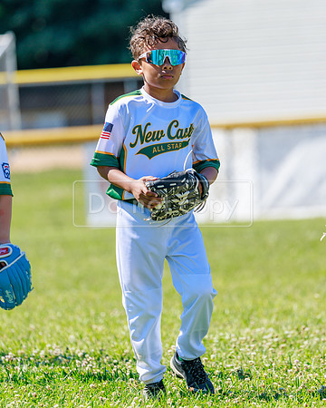 LittleLeague_NewCastleU8-20260620-019