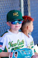Game Pictures
