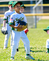 LittleLeague_NewCastleU8-20260620-010