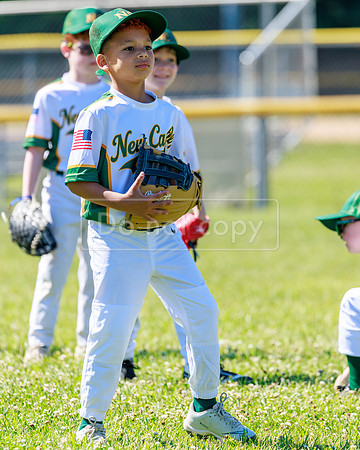 LittleLeague_NewCastleU8-20260620-010