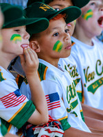 LittleLeague_NewCastleU8-20260625-009