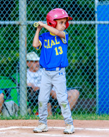 LittleLeague_NewCastleU8-20260625-019