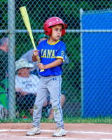 LittleLeague_NewCastleU8-20260625-020