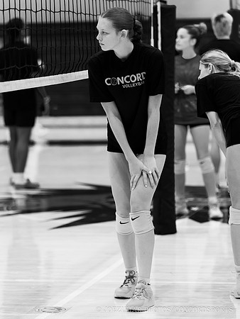 ConcordVolleyball_Girl_20260829-017