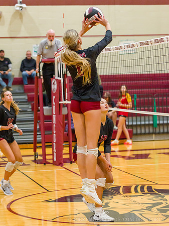 ConcordVolleyball_Girl_20260923-108