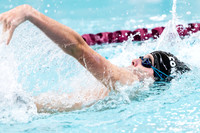 ConcornSwimming_20241206-008