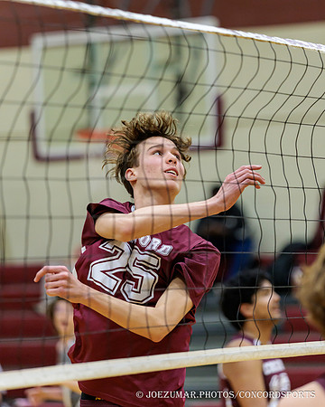 ConcordBB_BV_20250324-005