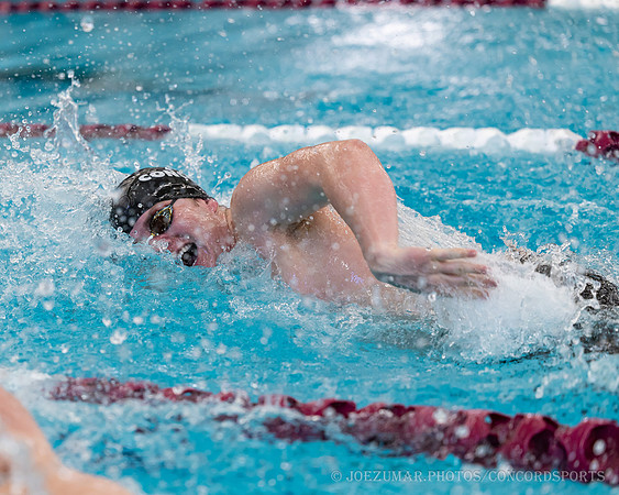 ConcornSwimming_20250128-020